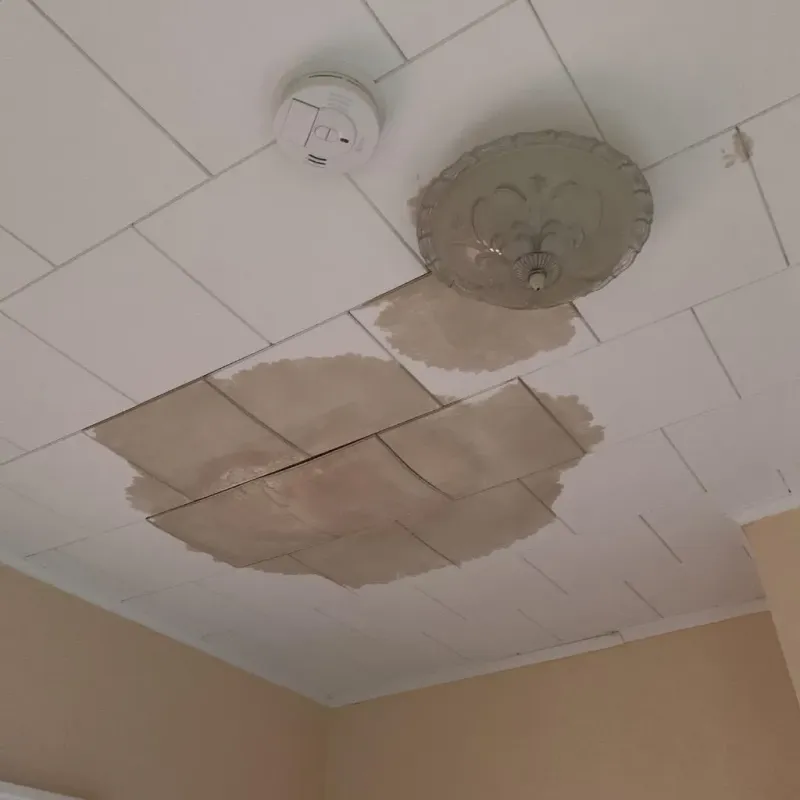 Ceiling Water Damage Repair in Vinton, IA