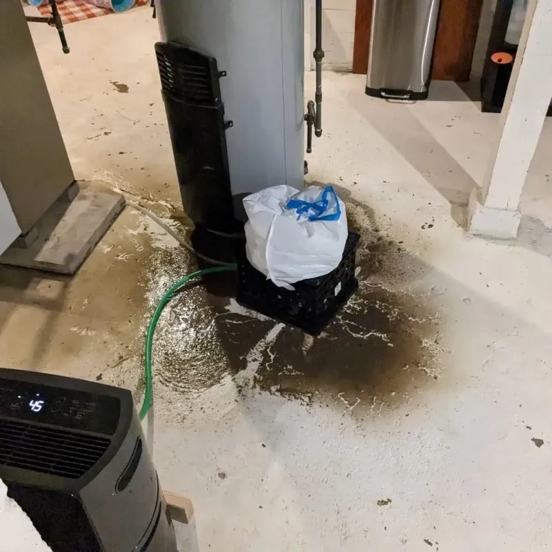 Sewage Backup Cleanup Service in Vinton, IA